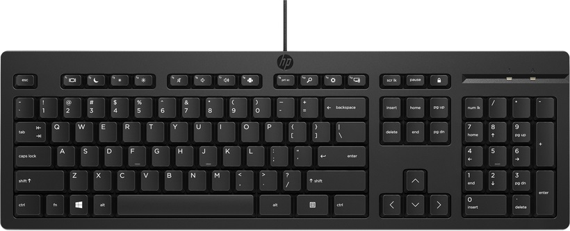 Teclado HP 125 Wired Keyboard 1
