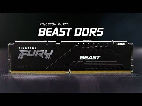 Memória RAM Kingston Fury Beast (AMD Expo) 32GB (2x16GB) DDR5-6000MHz CL36 Preta 3