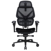 Cadeira Gaming Ergonomica ThunderX3 FLEX Pro Mesh Preta image